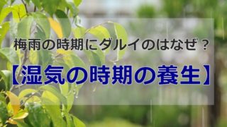 悪天候の庭