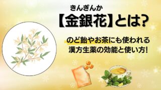のど飴やお茶にも使われる漢方生薬の効能と使い方を解説したブログのサムネイル画像