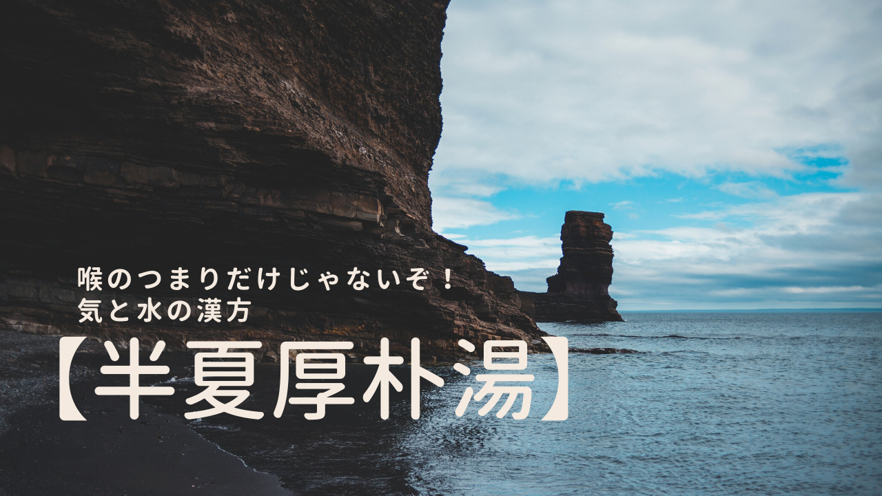 喉のつまりだけじゃないぞ!気と水の漢方【半夏厚朴湯】|玄武の薬箱