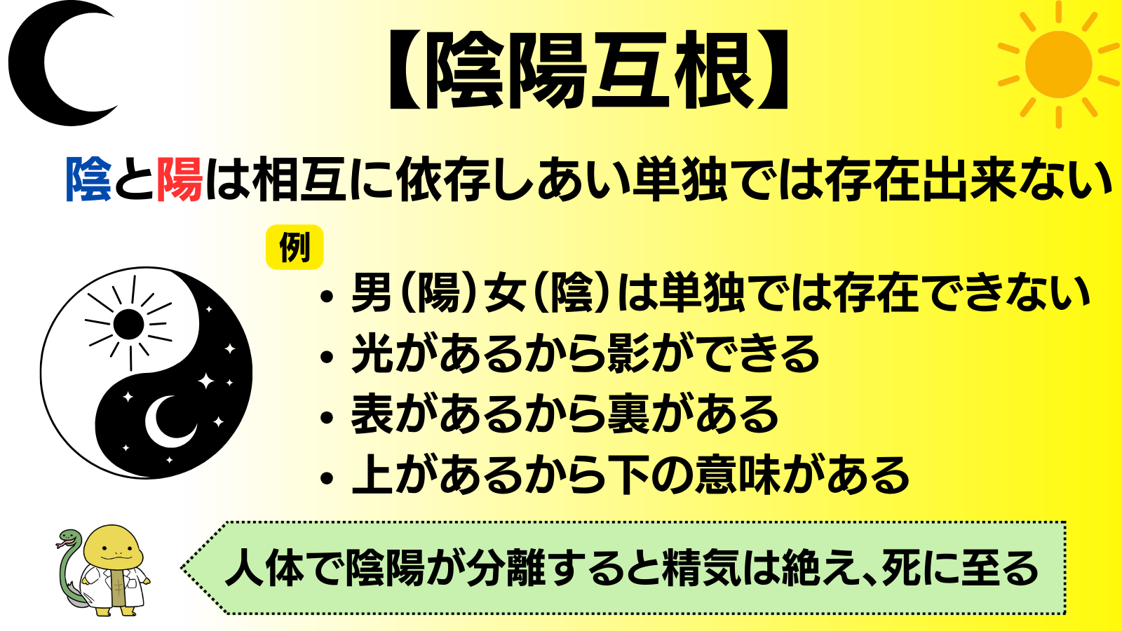 陰陽互根|玄武の薬箱