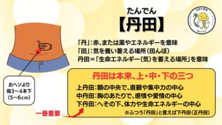 丹田のツボの場所を説明する画像