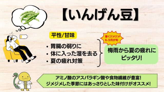 夏に旬をむかえ、夏バテや疲れに良い「いんげん豆」の薬膳的な効能効果を解説した画像