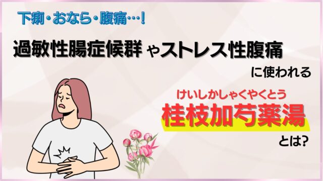 下痢・おなら・腹痛…！ 過敏性腸症候群（IBS）やストレス性の腹痛に使われる桂枝加芍薬湯のイメージ