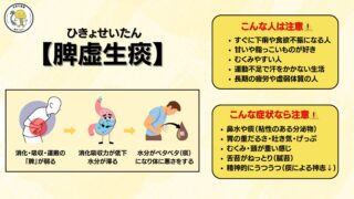 消化・吸収・運搬を司る五臓の「脾」が弱ることで起こる「脾虚生痰」について中医学的に解説した画像