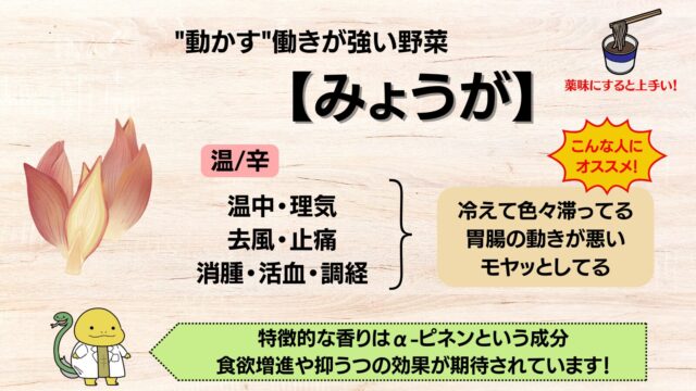 気血水を巡らす力が強い「みょうが」の薬膳的な効能効果を解説した画像