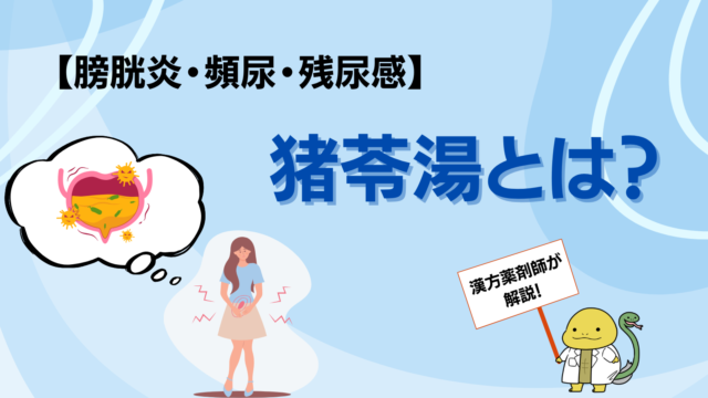 膀胱炎・頻尿・残尿感に使う猪苓湯とは？効果や副作用、飲み方・飲み合わせを漢方薬剤師が解説したブログのサムネイル画像！