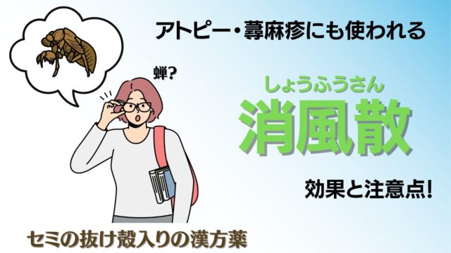 蕁麻疹（じんましん）や強い痒みの（アトピー性）皮膚炎に有効な漢方薬「消風散」を解説したブログ記事のサムネイル画像