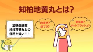 更年期障害に多いホットフラッシュに効果的な知柏地黄丸について解説したブログのサムネイル画像