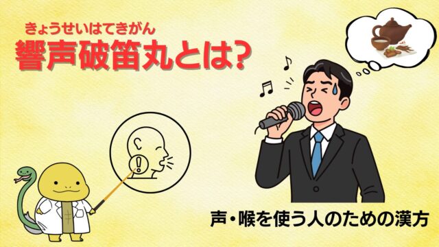 響声破笛丸の解説をしたブログのサムネイル画像